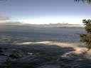 ./images/koeye/fitz-hugh/20200929/fitz-hugh20200929_104501.jpg