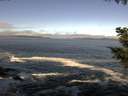 ./images/koeye/fitz-hugh/20200929/fitz-hugh20200929_105001.jpg