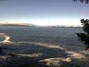 ./images/koeye/fitz-hugh/20200929/fitz-hugh20200929_111001.jpg
