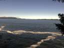 ./images/koeye/fitz-hugh/20200929/fitz-hugh20200929_114001.jpg
