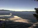 ./images/koeye/fitz-hugh/20200929/fitz-hugh20200929_122502.jpg