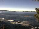 ./images/koeye/fitz-hugh/20200929/fitz-hugh20200929_124001.jpg