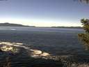 ./images/koeye/fitz-hugh/20200929/fitz-hugh20200929_125001.jpg