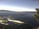./images/koeye/fitz-hugh/20200929/fitz-hugh20200929_133501.jpg