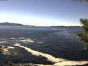 ./images/koeye/fitz-hugh/20200929/fitz-hugh20200929_134001.jpg