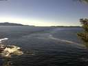 ./images/koeye/fitz-hugh/20200929/fitz-hugh20200929_135501.jpg