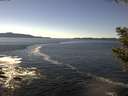 ./images/koeye/fitz-hugh/20200929/fitz-hugh20200929_141001.jpg