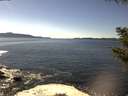 ./images/koeye/fitz-hugh/20200929/fitz-hugh20200929_143501.jpg