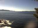 ./images/koeye/fitz-hugh/20200929/fitz-hugh20200929_144502.jpg