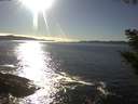 ./images/koeye/fitz-hugh/20200929/fitz-hugh20200929_164501.jpg