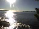 ./images/koeye/fitz-hugh/20200929/fitz-hugh20200929_165001.jpg