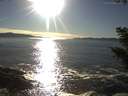 ./images/koeye/fitz-hugh/20200929/fitz-hugh20200929_171501.jpg