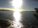 ./images/koeye/fitz-hugh/20200929/fitz-hugh20200929_173501.jpg