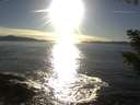 ./images/koeye/fitz-hugh/20200929/fitz-hugh20200929_174001.jpg