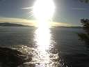 ./images/koeye/fitz-hugh/20200929/fitz-hugh20200929_174502.jpg
