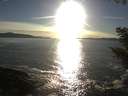 ./images/koeye/fitz-hugh/20200929/fitz-hugh20200929_180002.jpg