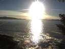 ./images/koeye/fitz-hugh/20200929/fitz-hugh20200929_180502.jpg