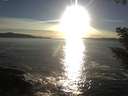 ./images/koeye/fitz-hugh/20200929/fitz-hugh20200929_181002.jpg