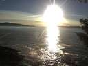 ./images/koeye/fitz-hugh/20200929/fitz-hugh20200929_181502.jpg