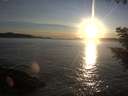 ./images/koeye/fitz-hugh/20200929/fitz-hugh20200929_184502.jpg