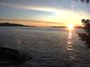 ./images/koeye/fitz-hugh/20200929/fitz-hugh20200929_190501.jpg