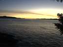./images/koeye/fitz-hugh/20200929/fitz-hugh20200929_193501.jpg