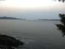 ./images/koeye/fitz-hugh/20200930/fitz-hugh20200930_072001.jpg