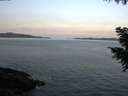 ./images/koeye/fitz-hugh/20200930/fitz-hugh20200930_080501.jpg