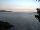 ./images/koeye/fitz-hugh/20200930/fitz-hugh20200930_081001.jpg