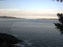 ./images/koeye/fitz-hugh/20200930/fitz-hugh20200930_082501.jpg