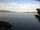 ./images/koeye/fitz-hugh/20200930/fitz-hugh20200930_084001.jpg