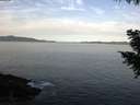 ./images/koeye/fitz-hugh/20200930/fitz-hugh20200930_085002.jpg