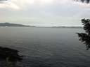 ./images/koeye/fitz-hugh/20200930/fitz-hugh20200930_092502.jpg