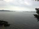 ./images/koeye/fitz-hugh/20200930/fitz-hugh20200930_093502.jpg