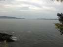 ./images/koeye/fitz-hugh/20200930/fitz-hugh20200930_095001.jpg