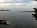 ./images/koeye/fitz-hugh/20200930/fitz-hugh20200930_100501.jpg