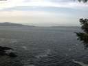 ./images/koeye/fitz-hugh/20200930/fitz-hugh20200930_104501.jpg