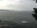 ./images/koeye/fitz-hugh/20200930/fitz-hugh20200930_123502.jpg