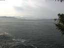 ./images/koeye/fitz-hugh/20200930/fitz-hugh20200930_124002.jpg