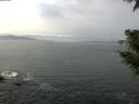 ./images/koeye/fitz-hugh/20200930/fitz-hugh20200930_124501.jpg