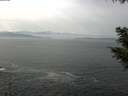 ./images/koeye/fitz-hugh/20200930/fitz-hugh20200930_125501.jpg
