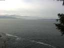 ./images/koeye/fitz-hugh/20200930/fitz-hugh20200930_130501.jpg