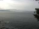 ./images/koeye/fitz-hugh/20200930/fitz-hugh20200930_131001.jpg