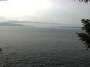 ./images/koeye/fitz-hugh/20200930/fitz-hugh20200930_131501.jpg
