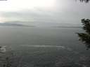 ./images/koeye/fitz-hugh/20200930/fitz-hugh20200930_132501.jpg