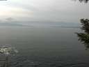 ./images/koeye/fitz-hugh/20200930/fitz-hugh20200930_133501.jpg