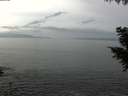 ./images/koeye/fitz-hugh/20200930/fitz-hugh20200930_134501.jpg