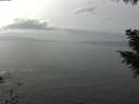 ./images/koeye/fitz-hugh/20200930/fitz-hugh20200930_135501.jpg