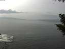 ./images/koeye/fitz-hugh/20200930/fitz-hugh20200930_140001.jpg