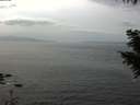 ./images/koeye/fitz-hugh/20200930/fitz-hugh20200930_144001.jpg